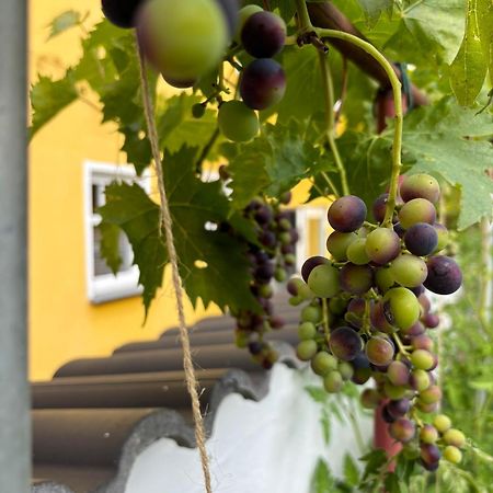 Ferienwohnung Haus Rheinleben Boppard Exterior foto